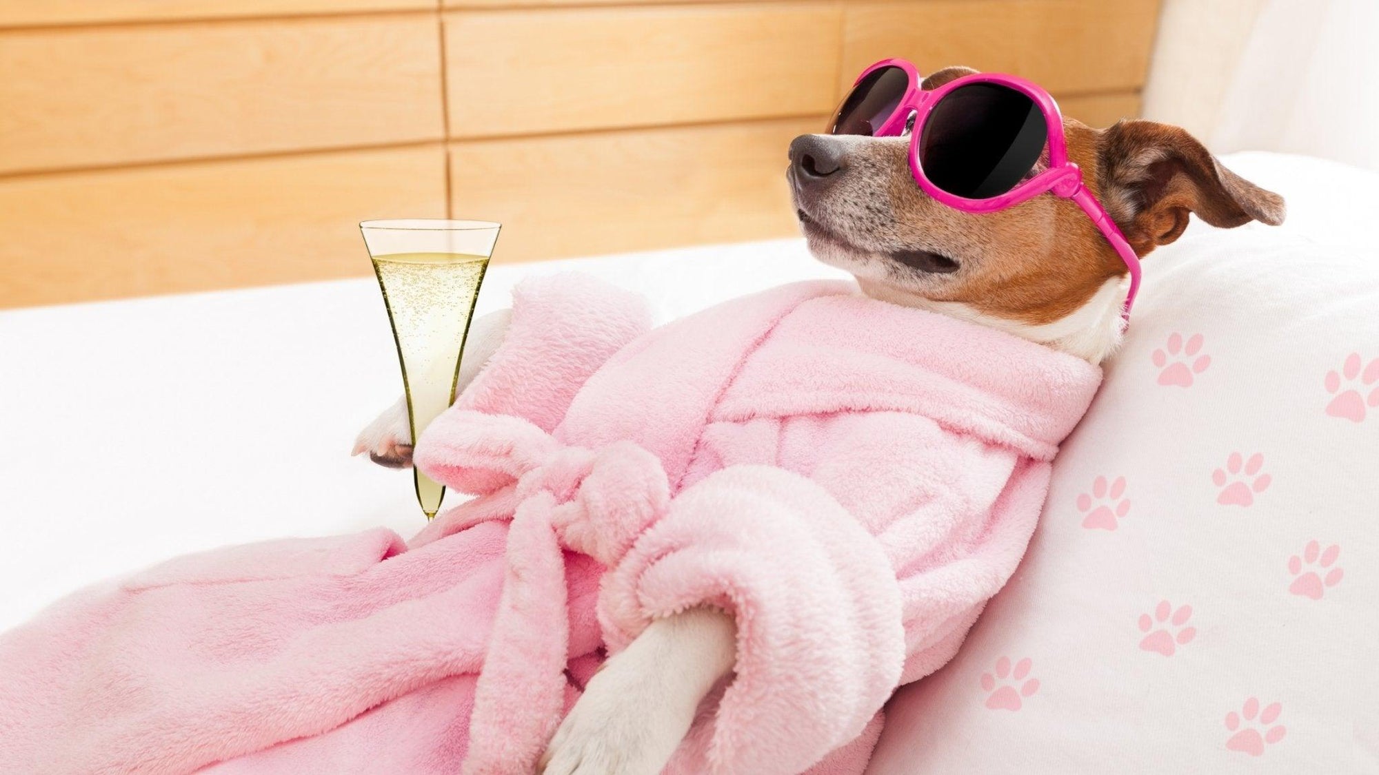 Tailored to Tail: How to Choose the Best Pet Shampoo for Your Dog's Needs - Lillian Ruff