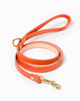 Sunset Leash