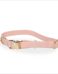 Waterproof Dog Collar | Pink
