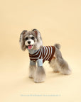 Bluebell Stripes Sweater