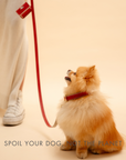Leash 4ft - Vegan Leather - Copenhagen