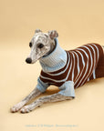 Bluebell Stripes Sweater
