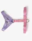 Lavender and Pink - Dog Harness