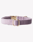 'Lilac' - Velvet Dog Collar