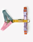 Rainbow - Dog Harness