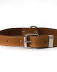 Pro Line Leather Hunting Dog Collar