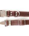 Pro Line Quick-Release Leather Dog Collar with Metal Buckle