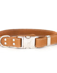 Quick-Release Style Leather Collar and Leash Set