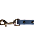 Waterproof Super Soft PVC Dog Leash