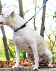 Waterproof Super Soft PVC Dog Leash