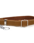 Martingale Leather Dog Collar