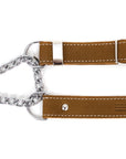 Martingale Leather Dog Collar