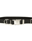 Modern Style Quick-Release Leather Dog Collar