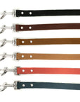 Modern Style Leather Dog Leash
