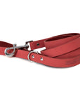 Modern Style Leather Dog Leash