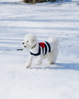 Sailor of My Heart Striped Turtleneck Sweater