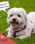 Dog Mamma's Organic Apple Cranberry Recipe - USDA Organic Certified Dog Treats