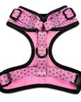 Asanoha Harness