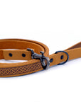 Celtic Sport Leather Collar and Leash Set
