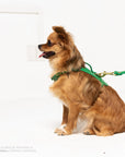 Spring Heritage Harness