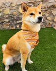 Desert Dream Cooling Bandana