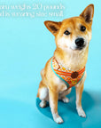 Desert Dream Harness