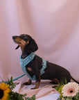 Blue - Comfort Dog Harness