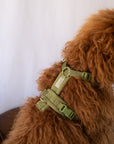 Green - Comfort Dog Harness