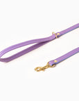 Fairy Leash