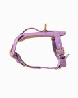 Fairy Heritage Harness
