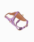 Fairy Heritage Harness