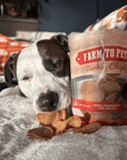 Turkey Chips for Dogs | All-Natural Single-Ingredient Healthy Dog Treats