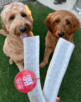 Elk Antler Dog Chews | All-Natural Whole and Split Elk Antler Chews for Dogs