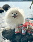 Treat Topper Fish Dog Food Topper | Low-Fat Meal Topper for Pets