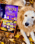 Halloween 31 Snack Pack Dog Treat Box