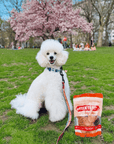 Turkey Chips for Dogs | All-Natural Single-Ingredient Healthy Dog Treats