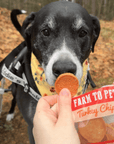 Turkey Chips Snack Pack Bundles | Low Allergen Treats for Training