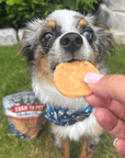 Americana Chicken Chips for Dogs | Celebrate with USA-made Dog Treats