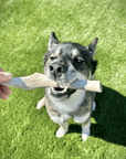 Reindeer Antler Dog Chews | Organic Chews for Dogs