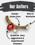 Deer Antler Dog Chews | Organic Chews for Dogs