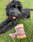 Deer Antler Dog Chews | Organic Chews for Dogs