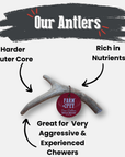 Deer Antler Dog Chews | Organic Chews for Dogs