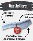 Elk Antler Dog Chews | All-Natural Whole and Split Elk Antler Chews for Dogs