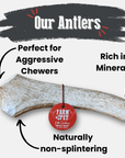 Elk Antler Dog Chews | All-Natural Whole and Split Elk Antler Chews for Dogs