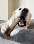 Elk Antler Dog Chews | All-Natural Whole and Split Elk Antler Chews for Dogs