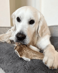 Elk Antler Dog Chews | All-Natural Whole and Split Elk Antler Chews for Dogs