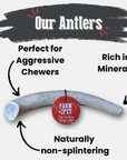 Elk Antler Dog Chews | All-Natural Whole and Split Elk Antler Chews for Dogs
