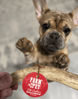 Elk Antler Dog Chews | All-Natural Whole and Split Elk Antler Chews for Dogs