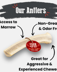 Reindeer Antler Dog Chews | Organic Chews for Dogs
