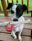 Reindeer Antler Dog Chews | Organic Chews for Dogs